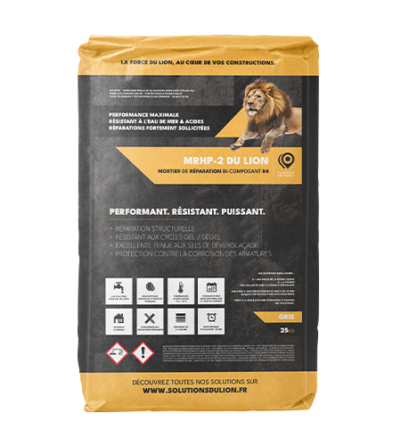 Image du produit : MRHP-2 DU LION image